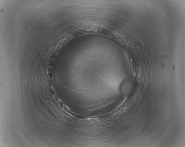 X0000078850916200611271343