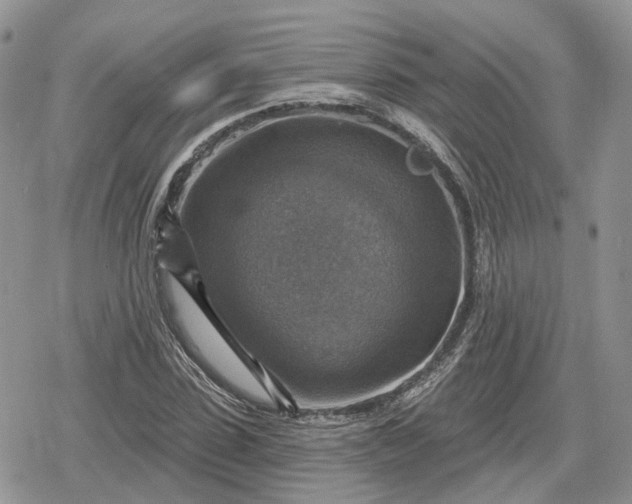 X0000078850923200611271343