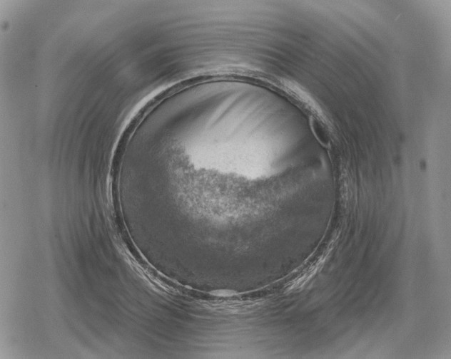 X0000078850932200611271343