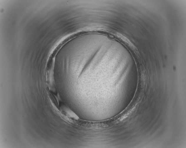 X0000078850934200611271343
