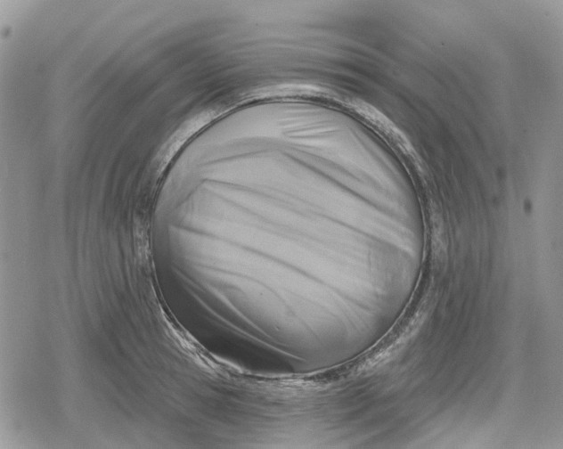 X0000078850945200611271343