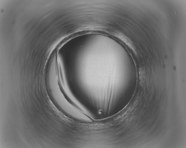 X0000078850972200611271343