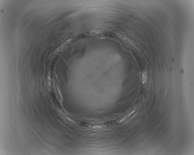 X0000078851011200611271341
