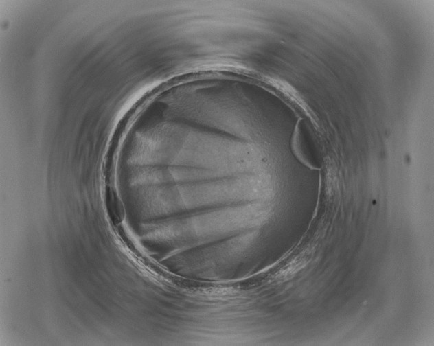 X0000078851024200611271342