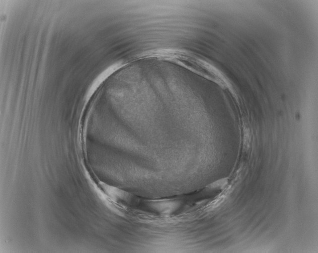 X0000078851050200611271342