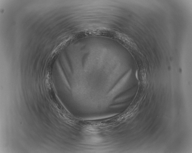 X0000078851060200611271341