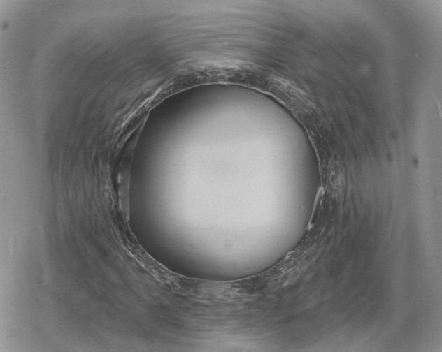X0000078851061200611271341