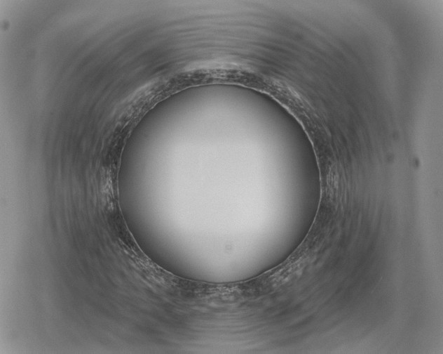X0000078851062200611271341