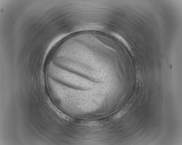 X0000078851072200611271341