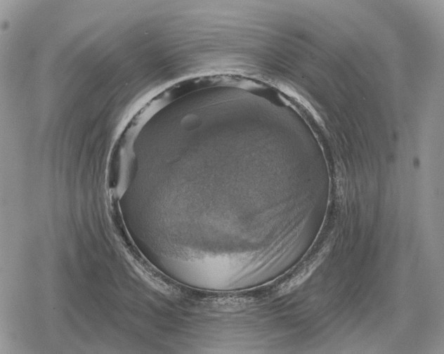 X0000078851077200611271341