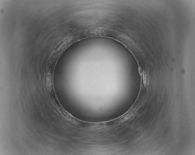 X0000078851107200611271340