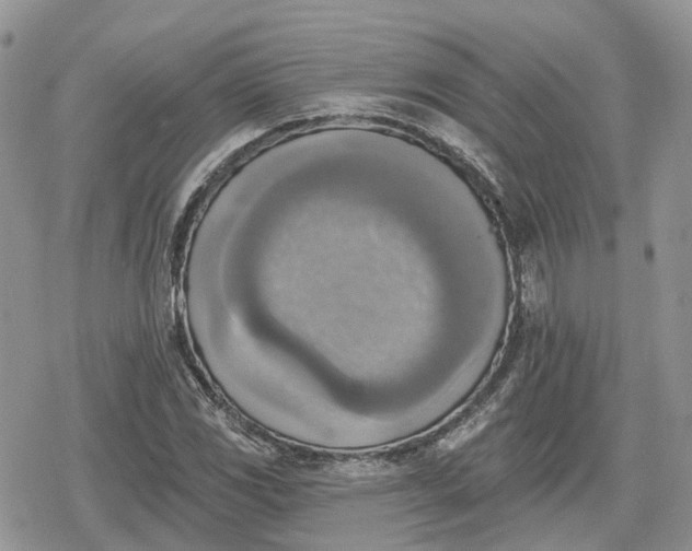 X0000078851117200611271340