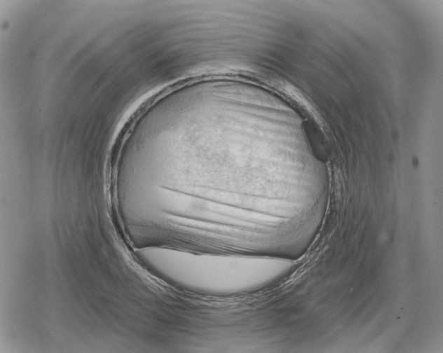 X0000078851124200611271340
