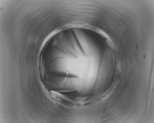 X0000078851146200611271340