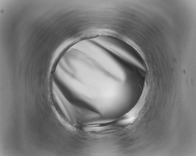 X0000078851152200611271340