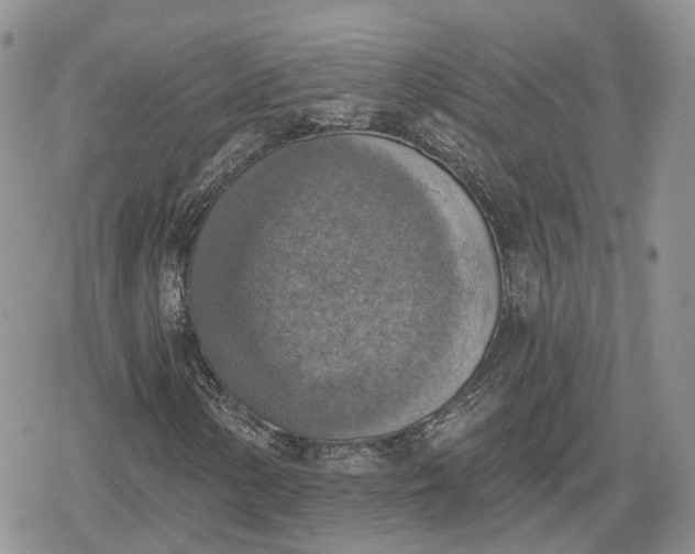 X0000078851154200611271340
