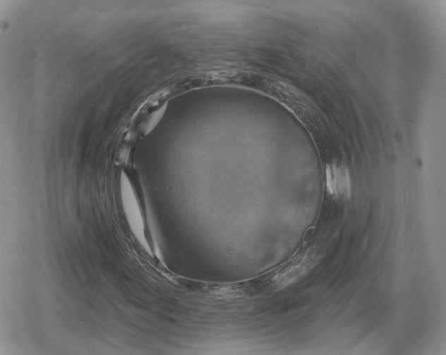 X0000078851155200611271340