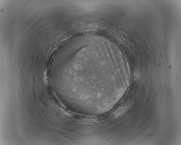 X0000078851156200611271340
