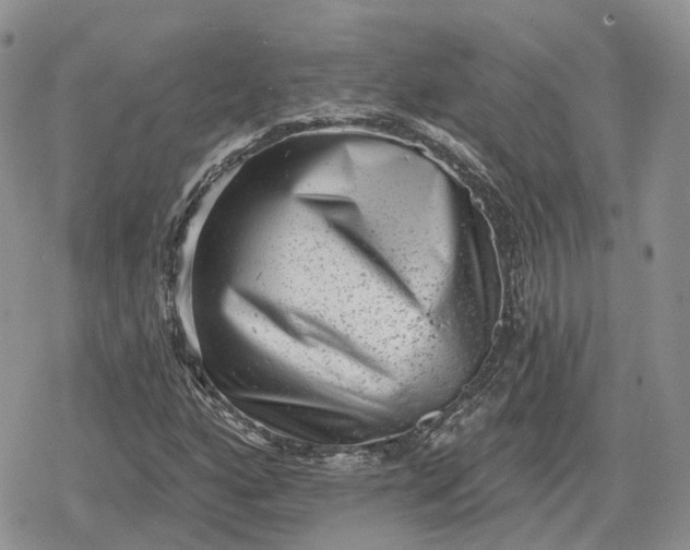 X0000078851160200611271340