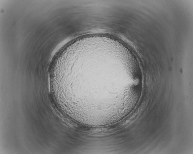 X0000078851171200611271339