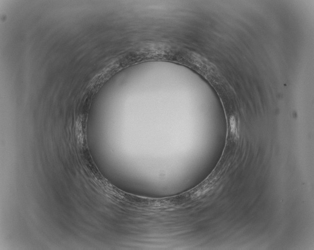 X0000078851203200611271338