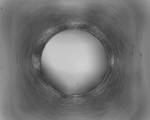 X0000078851204200611271338