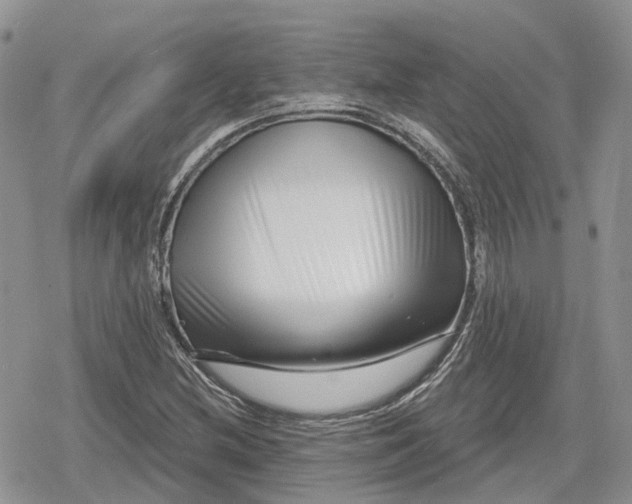 X0000078851212200611271338