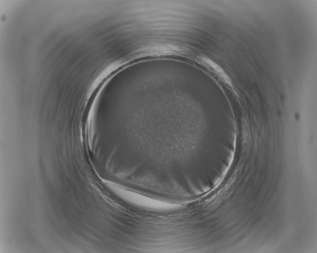 X0000078851226200611271339