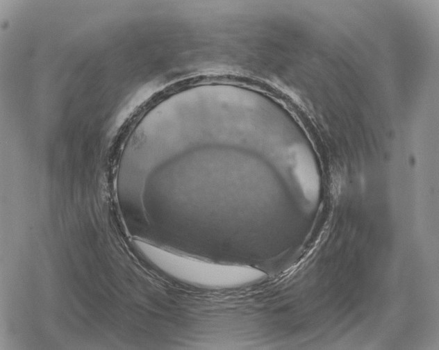 X0000078851263200611271338