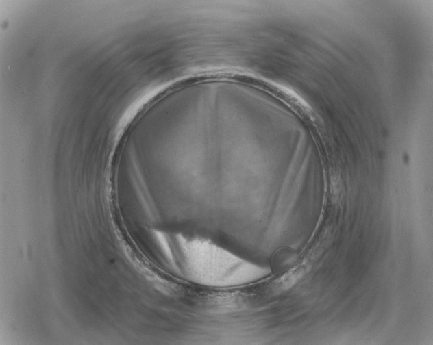 X0000078851279200611271338
