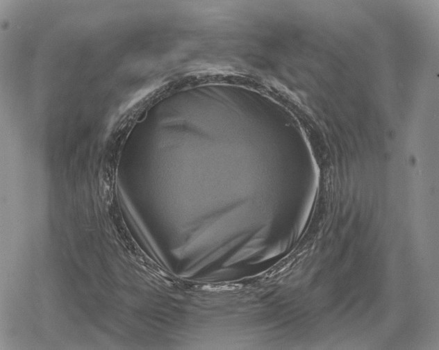 X0000078851303200611271337