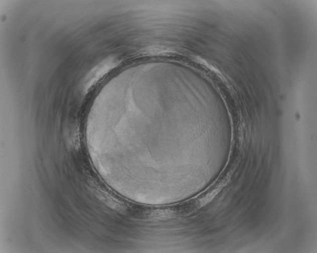 X0000078851306200611271337