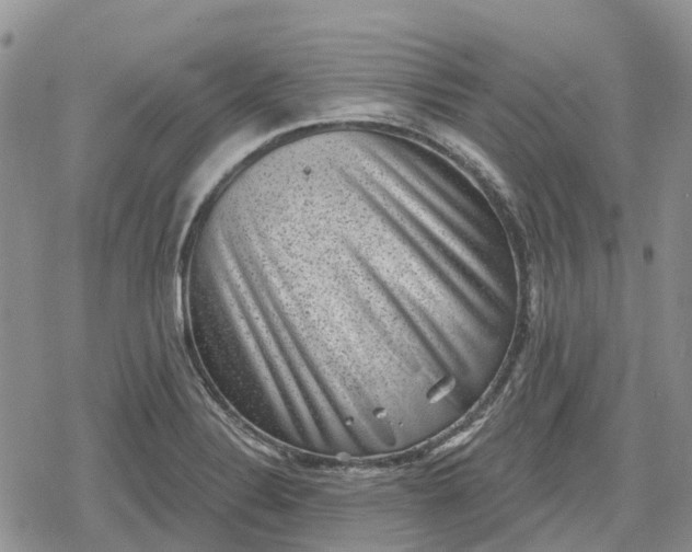 X0000078851324200611271337