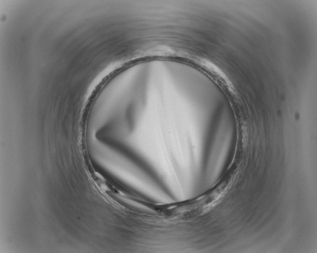X0000078851326200611271337