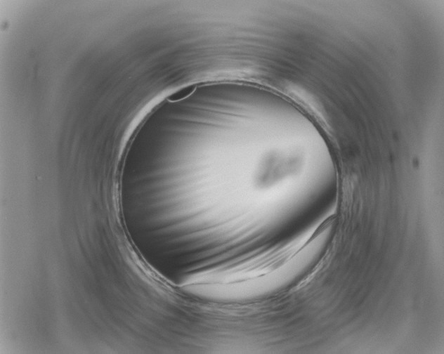 X0000078851340200611271337