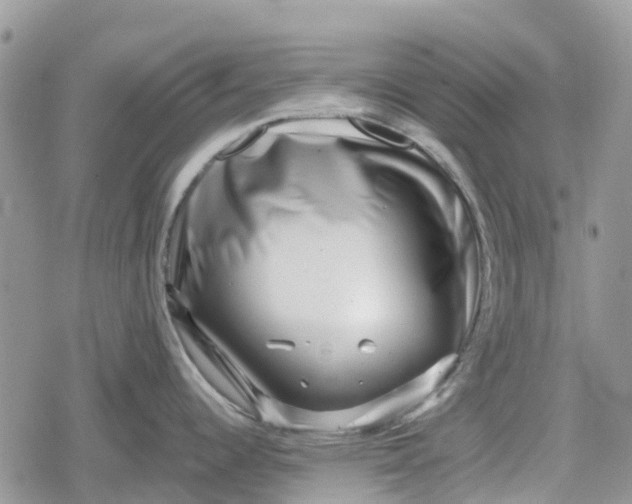 X0000078851344200611271337