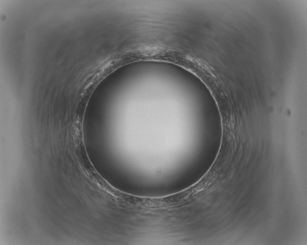 X0000078851349200611271337
