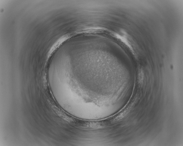 X0000078851362200611271336