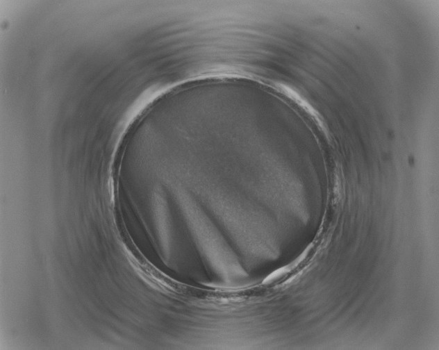 X0000078851372200611271336