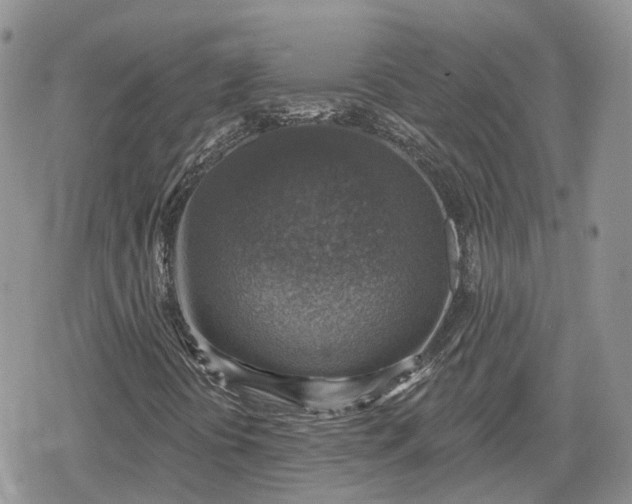 X0000078851394200611271335
