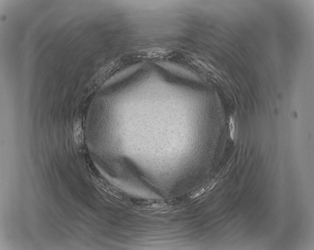 X0000078851395200611271335