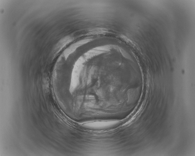 X0000078851401200611271335