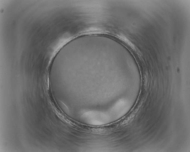 X0000078851413200611271335