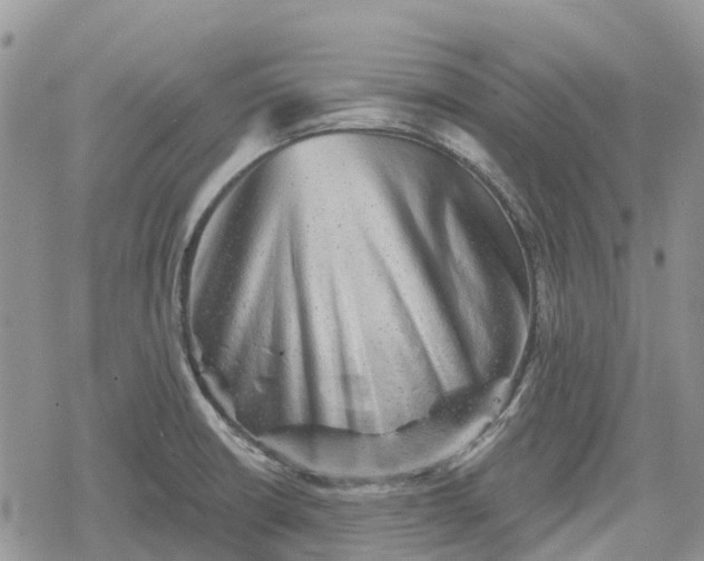 X0000078851426200611271336