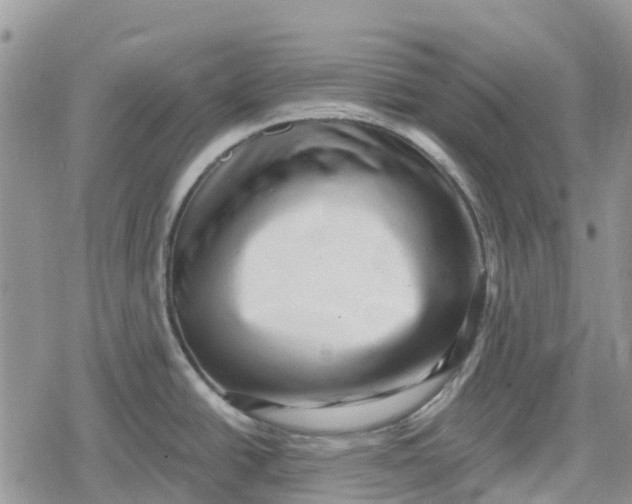 X0000078851438200611271336