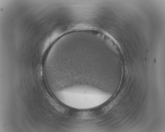 X0000078851461200611271335