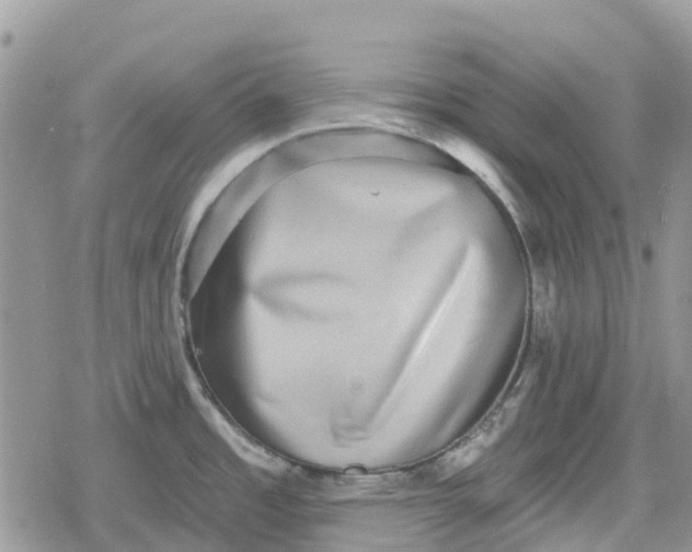 X0000078851485200611271334