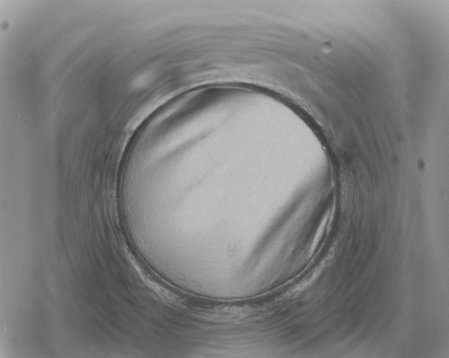X0000078851513200611271334