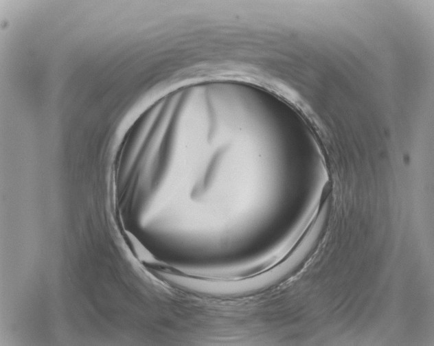 X0000078851520200611271334