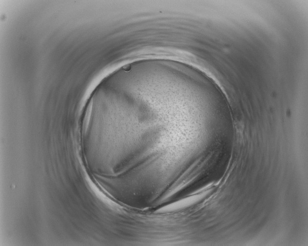 X0000078851531200611271334